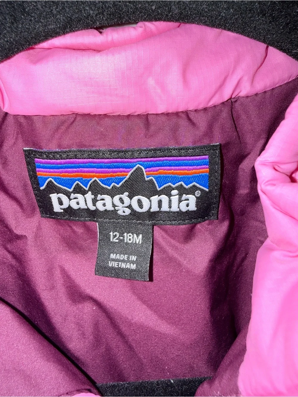 Patagonia Pink and Purple Kids Jacket with Logo Patch